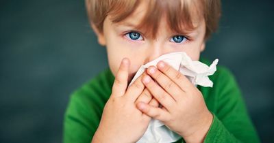 Fury as school says children must attend with 'tonsillitis and glandular fever'