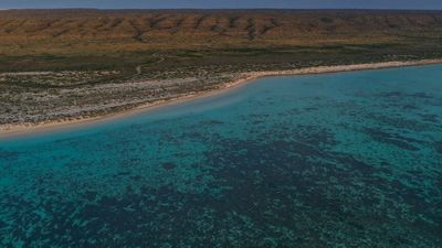 Third rare La Niña event in a row could lead to more coral bleaching along WA's Ningaloo Reef, scientists say