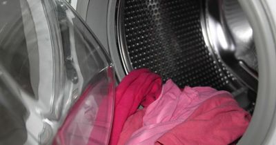 Mrs Hinch fans' hacks to use washing machine less and save money