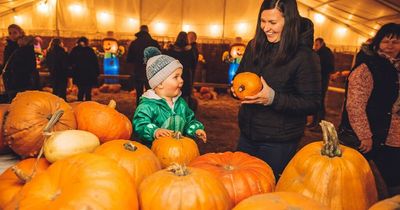Avon Valley Pumpkin Patch opens today: everything you can expect