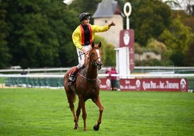 'Relief' and 'elation' - what winning the Arc de Triomphe means