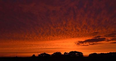 Liverpool weather: Sunny start turns to cloud in the afternoon