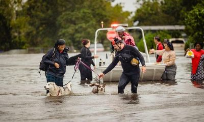 To understand the scale of the climate emergency, look at hurricanes