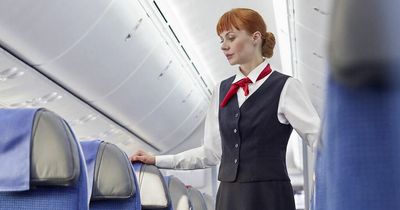 Flight attendant warns of 'germ hotspot' on a plane - surprisingly it's not the toilet