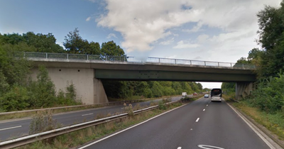 BMW driver, 18, dies in crash with lorry parked in layby near M5 junction