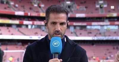 Cesc Fabregas claims Mikel Arteta doesn't give Arsenal players "freedom"