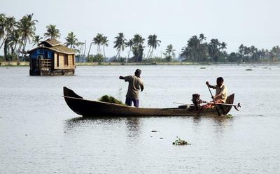 Illegal overfishing adds to concerns of fish stock depletion in Vembanad Lake