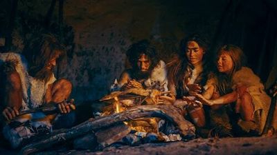 Ancient humans: 6 new discoveries unveil thousands of years of evolution