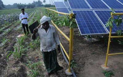 Punjab demands Centre to give financial assistance to set up solar-enabled agriculture pump sets
