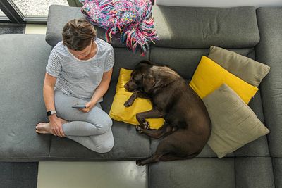 Yes, dogs can smell your stress