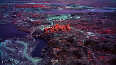 Richard Mosse returns to National Gallery of Victoria with Broken Spectre, filmed in the Amazon rainforest