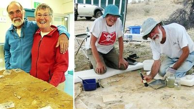 Canadian fossil hunters spend six months camping in outback Queensland each year, call it 'home'