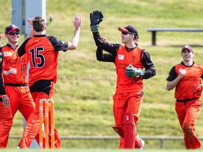 Paine makes successful start to comeback
