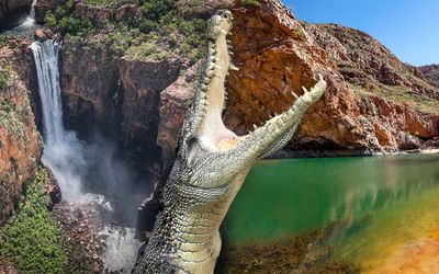 Notorious croc spot reopens as visitors flock to Top End