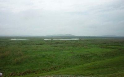 Andhra Pradesh: Protect wetlands in Srikakulam district, activists urge govt.