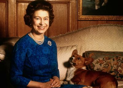 ‘Ah, the Queen’s dog!’ How the royal connection brought the corgi back into fashion