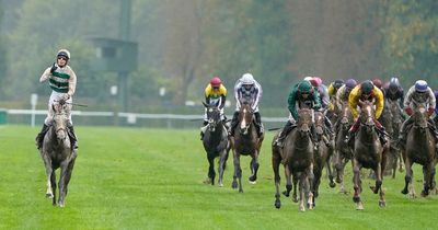 Joy for punters as favourite Alpinista ploughs through the mud to win the Arc in Paris