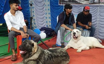Dog show held in Shivamogga
