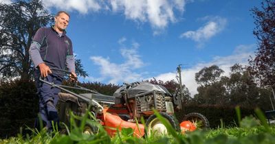 The vexing question of our time: should you mow when it's wet, or just let it grow?