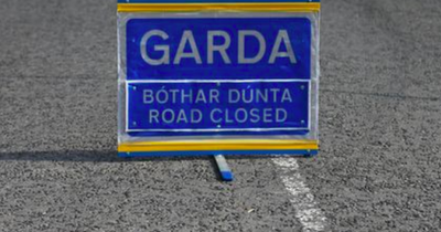 Motorcyclist dies in horror crash in Co Louth as gardai close road and appeal for witnesses