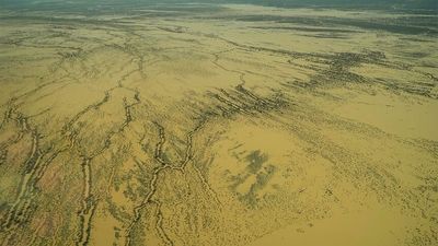 Gas production costs in Queensland's Lake Eyre Basin will be 'staggering', report claims