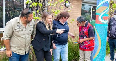 Bush tucker garden feels just like home