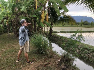 Eco-farming 'to undo harm'