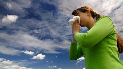 Daily hayfever treatment offers hope of long-term protection against uncontrollable sneezing and thunderstorm asthma