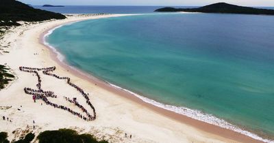Port Stephens' human whale shaping for a big return - with a twist