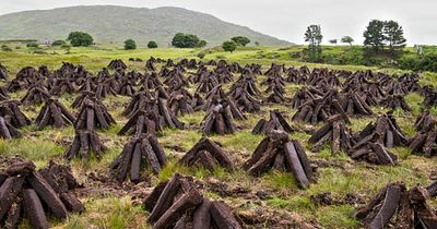 Turf cutting on Ireland's protected bogs must end in 2 months says European Commission