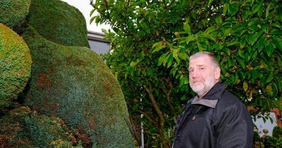 Gardener who turned 10ft hedge into giant middle finger now wants to 'burn it down'