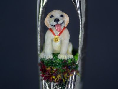 Artist uses eyelash to paint miniature puppy sculpture in the eye of a needle