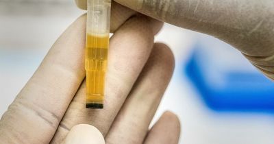 Ex-prisoners to face compulsory drug tests in £1.2m scheme to 'help cut crime'