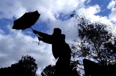 Met Office issues yellow wind warning for across Scotland - see if you're affected