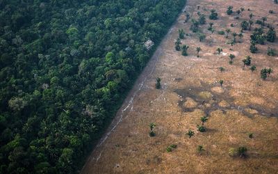 Fate of the Amazon in the balance as Brazil’s presidential race heads to a runoff