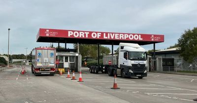 Dock workers stand down at Port of Liverpool after 11 days of strike action