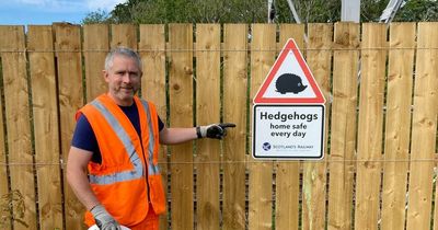 Hedgehog 'highway' opens in Glasgow south side stretching one mile long