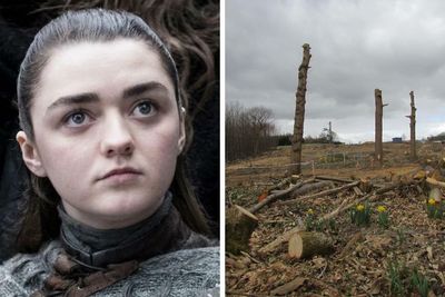 Game of Thrones star throws weight behind Scottish climate crisis campaign