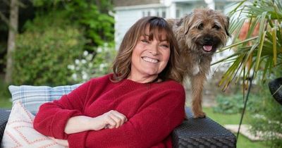 Lorraine Kelly supports dog charity's campaign to combat loneliness this winter