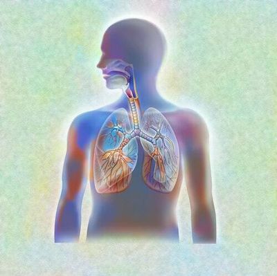 One powerful breathing technique could boost a key factor for longevity