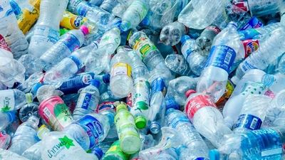 Scientists develop system to produce biodegradable plastics