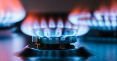 Are wood-burning stoves legal in the UK? Gas boiler alternatives as energy prices soar