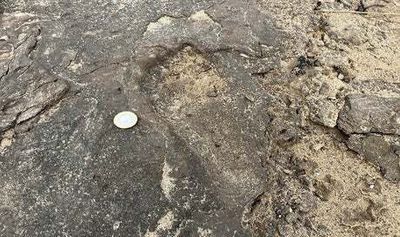 Ancient footprints record decline in biodiversity in ancient Britain