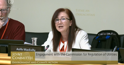 Energy crisis: Ireland's utility regulator has no power to stop standing charges and won't cap unit prices