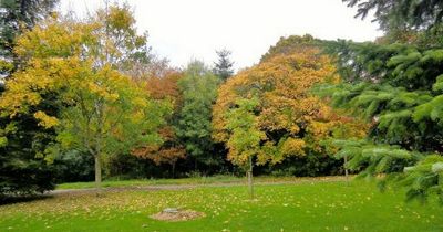 Man found dead in Cardiff woods