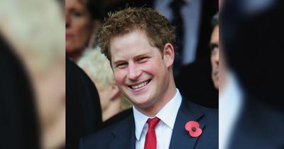 Netflix The Crown bosses are searching for Prince Harry lookalike