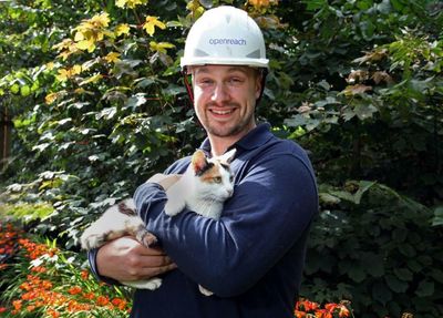 Cat in surprise three-hour ferry trip after sneaking into engineer's van