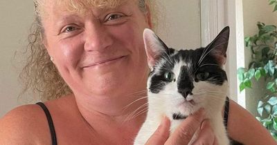 Mum left 'horrified' after cat comes home with anal beads in its mouth