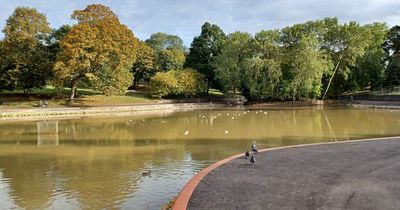 St George Park lake reopens after £400,000 revamp
