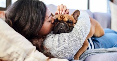 Woman applauded for making cruel parents 'homeless' after they gave her dog away